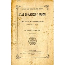 Atlas geologiczny Galicyi. Tekst do zeszytu dziewiętnastego. Sambor (słup IX,...