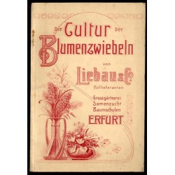 Die Cultur der Blumenzwiebeln von Liebau & Co. Hoflieferanten,...