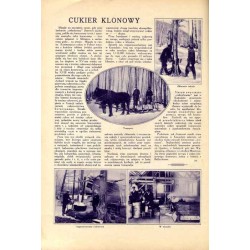 Tęcza. Ilustrowane pismo tygodniowe. R.3 (1929). Z. 7 (16 lutego 1929) / M. Skwarcoff (Skworcoff) / Jean-Baptiste-Camille Corot