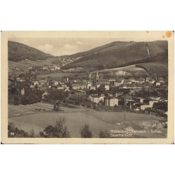Waldenburg-Dittersbach i. Schles., Gesamtansicht. 44
