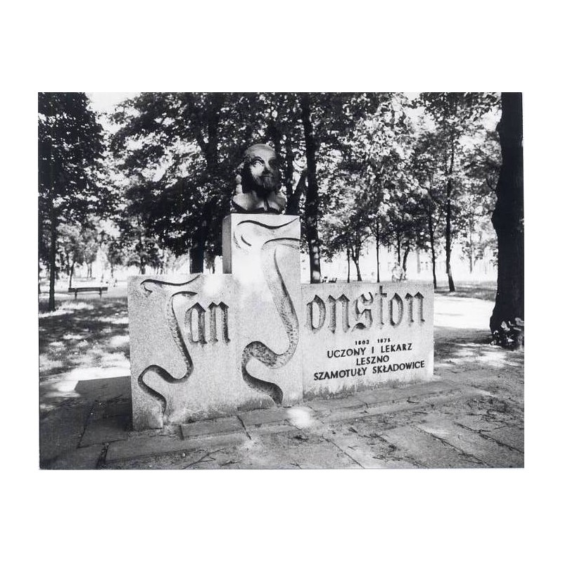 "Leszno Park i pomnik J. Johnstona fot. M. Trzeciakowski M. Bańkowska 60-460 76084 barwne"