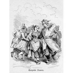 1) "Kaisertage in Galizien. Gruppe aus dem Fakelzug. Originalzeichnung von Fr. Kollarz." 2) "Bauern-Banderieen." 3) "Polnische