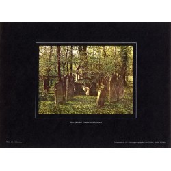 "Alter jüdischer Friedhof in Dyhernfurth. Tafel 13. Schlesien I"