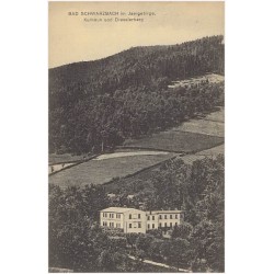 Bad Schwarzbach im Isergebirge. Kurhaus und Dresslerberg