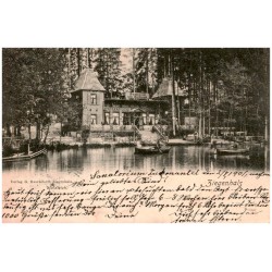 Ziegenhals. Waldteich.