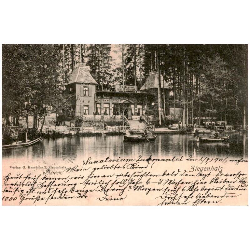 Ziegenhals. Waldteich.