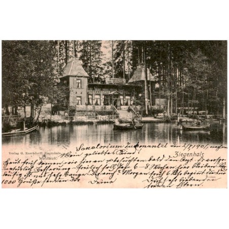 Ziegenhals. Waldteich.