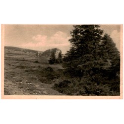 Riesengebirge. Die Hampelbaude