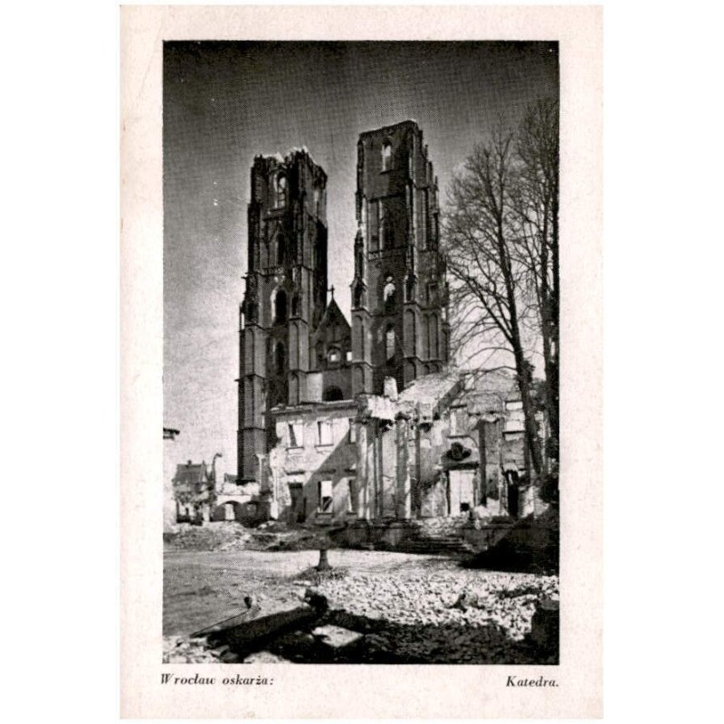 Wrocław oskarża: Katedra.
