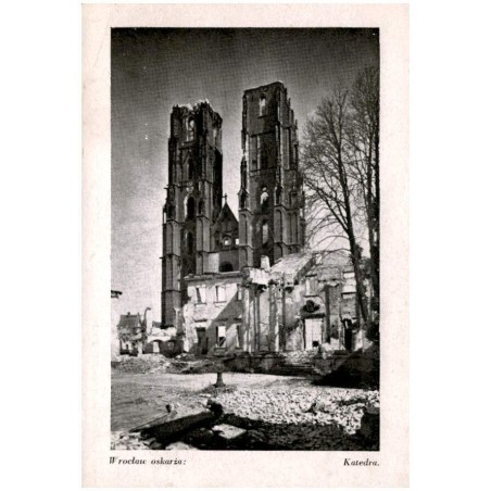 Wrocław oskarża: Katedra.