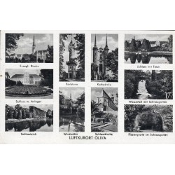 Luftkurort Oliva. Evangl. Kirche. Schloss m. Anlagen. Schlossteich. Karlsturm. Windmühle. Kathedrale. Schlosskirche. Schloss mit