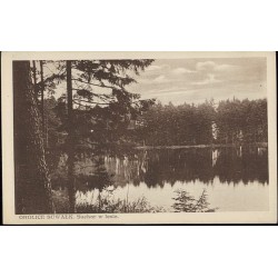 Okolice Suwałk. Suchar w lesie. [...]