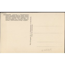 Okolice Suwałk. Suchar w lesie. [...]