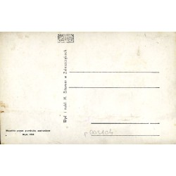 Pozdrowienia z Zaleszczyk. Baumer 52