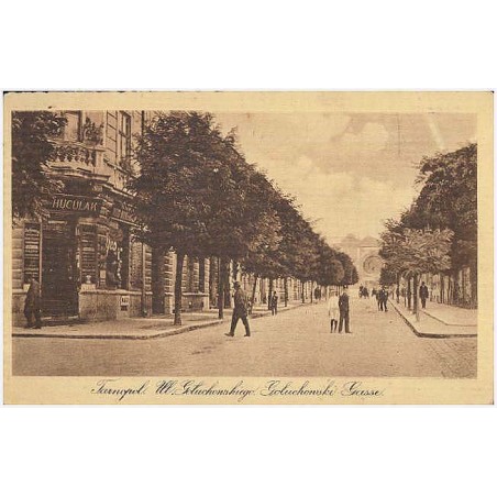 Tarnopol. Ul. Gołuchowskiego. Gołuchowski-Gasse
