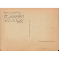 Warszawa. - Wielkopiątkowy "Grób" z r 1945 w kościele Św. Krzyża przy Krakowskim Przedmieściu, zburzonym i spalonym przez Niemcó