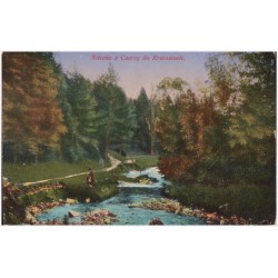 Ścieżka z Czerny do Krzeszowic