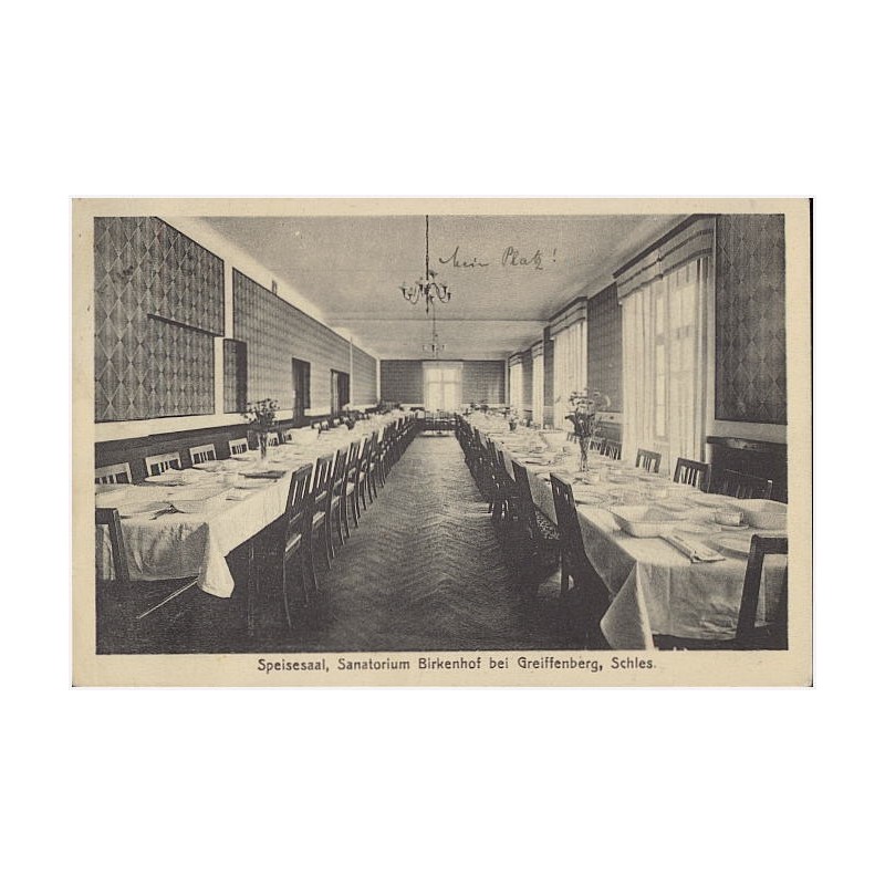 Speisesaal, Sanatorium Birkenhof bei Greiffenberg, Schles
