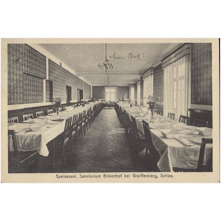 Speisesaal, Sanatorium Birkenhof bei Greiffenberg, Schles