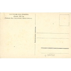 Daniel Biały - Zwierzyniec w Lesie Wolskim. Fot. St. Mucha [...]
