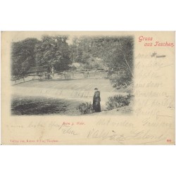 Gruss aus Teschen. Beim 3. Wehr.