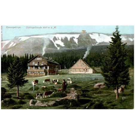 Riesengebirge. Schlingelbaude 1067 m ü. M.