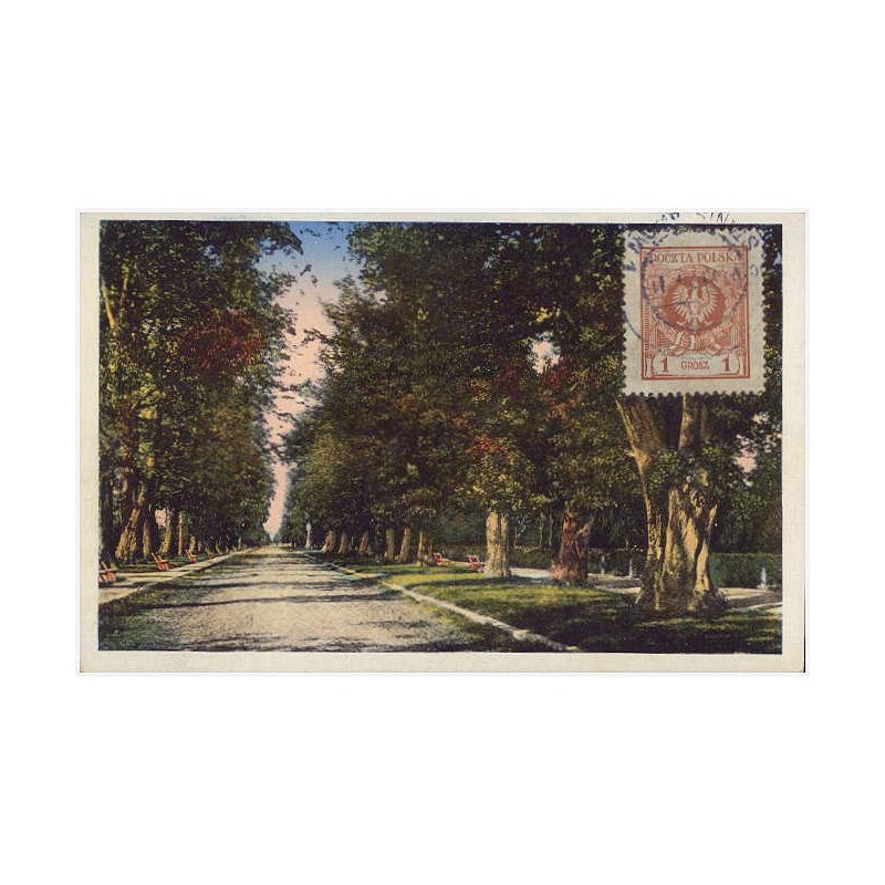 Stanisławów. Aleja Lipowa. Stanislau. Lindenallee