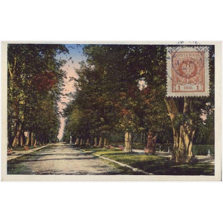 Stanisławów. Aleja Lipowa. Stanislau. Lindenallee