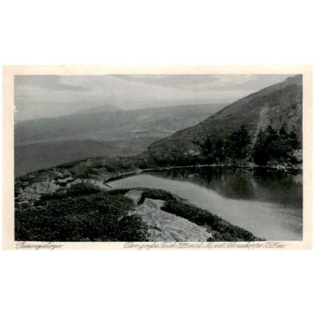 Riesengebirge. Der grosse Teich 1225 m ü. M. mit Schneekoppe 1605 m.