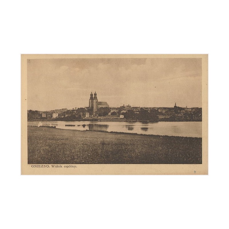 Gniezno. Widok ogólny
