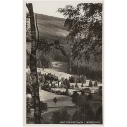 Bad Schwarzbach i. Isergebirge [...] Blick zum Waldfrieden und Jägerhaus