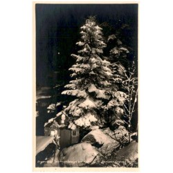 Brennender Weihnachtsbaum am Kochelfall m. Pfefferkuchenhaus Rsgb.