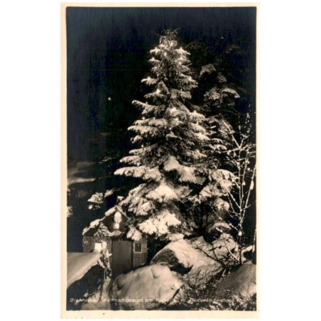 Brennender Weihnachtsbaum am Kochelfall m. Pfefferkuchenhaus Rsgb.