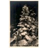 Brennender Weihnachtsbaum am Kochelfall m. Pfefferkuchenhaus Rsgb.