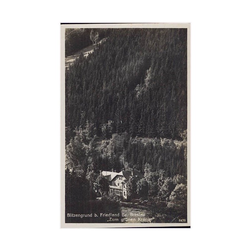 Blitzengrund b. Friedland Bz. Breslau "Zum grünen Kranze" 6479