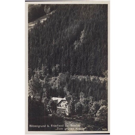 Blitzengrund b. Friedland Bz. Breslau "Zum grünen Kranze" 6479