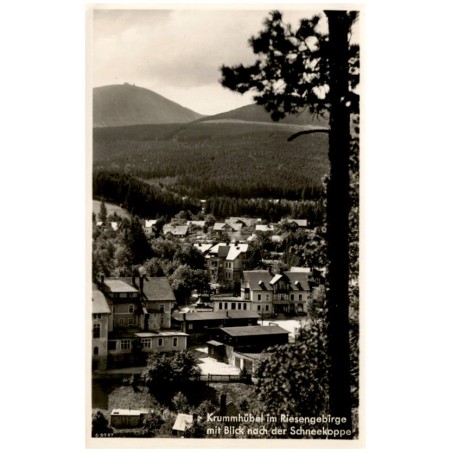 Krummhübel im Riesengebirge mit Blick nach der Schneekoppe 65997