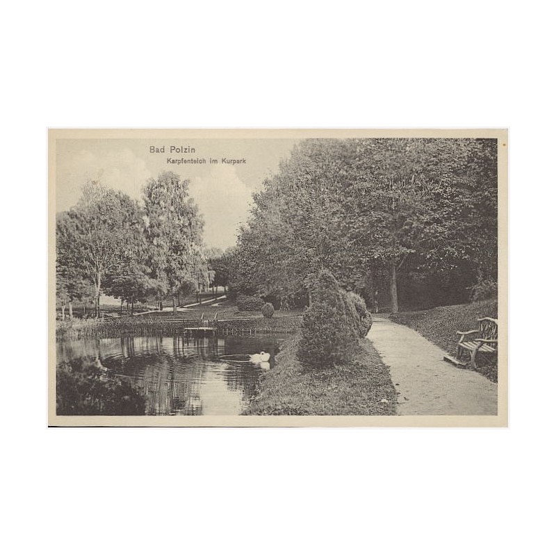 Bad Polzin. Karpfenteich im Kurpark