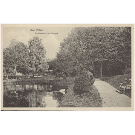 Bad Polzin. Karpfenteich im Kurpark