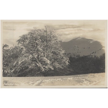 Podk. Rus. Šešul 1728 m