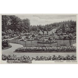 Solice-Zdrój - Ogród Różany [Bad Salzbrunn. Rosengarten]