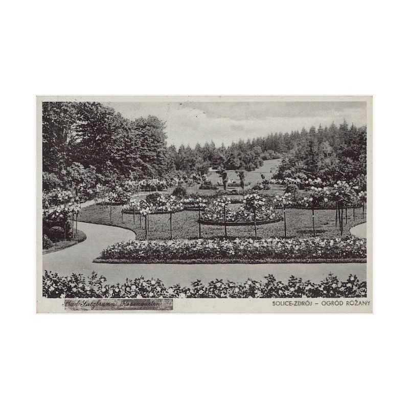 Solice-Zdrój - Ogród Różany [Bad Salzbrunn. Rosengarten]