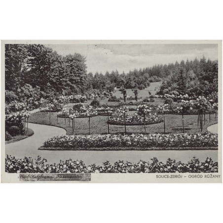 Solice-Zdrój - Ogród Różany [Bad Salzbrunn. Rosengarten]