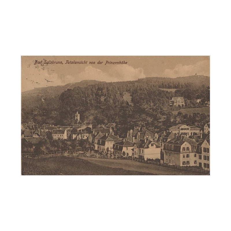 Bad Salzbrunn, Totalansicht von der Prinzenhöhe