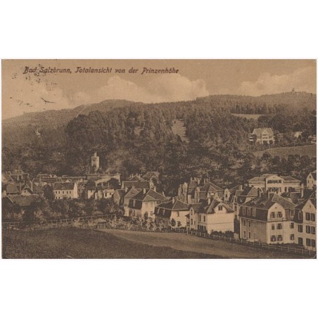 Bad Salzbrunn, Totalansicht von der Prinzenhöhe