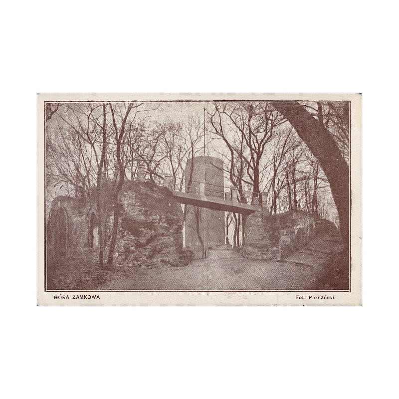 Góra Zamkowa. Fot. Poznański