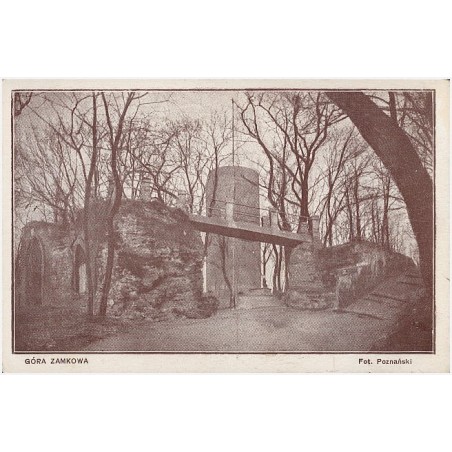 Góra Zamkowa. Fot. Poznański