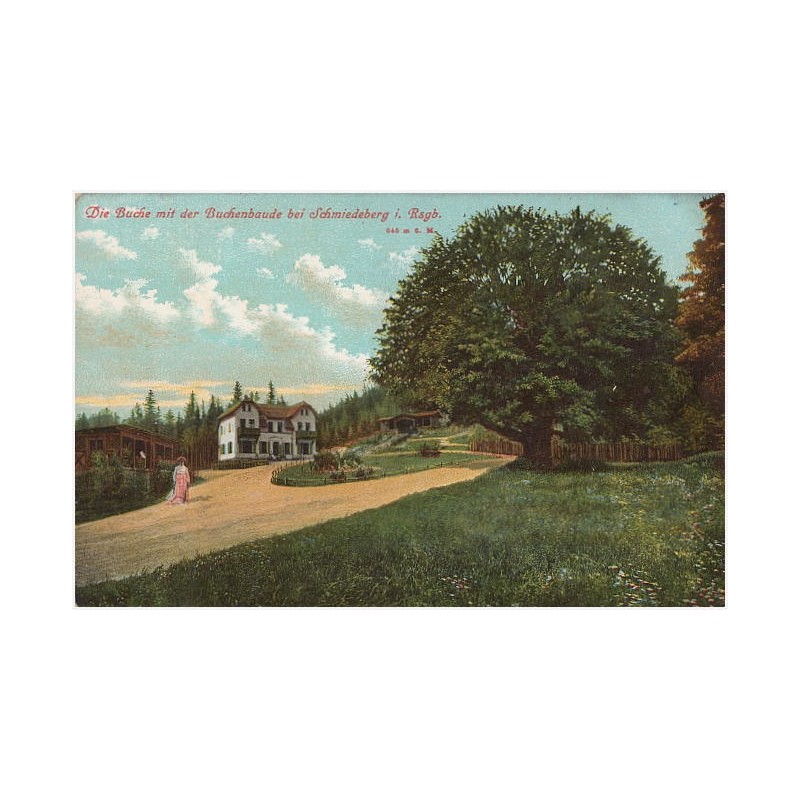 Die Baude mit der Buchenbaude bei Schmiedeberg i. Rsgb. 645 m ü. M. An die Buche ! [...]