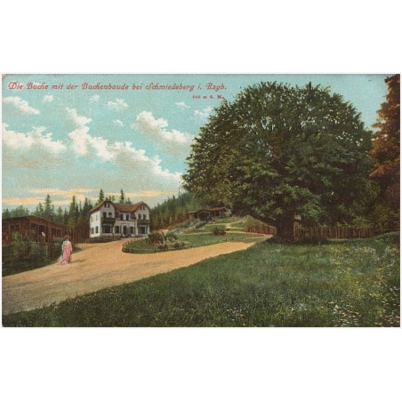 Die Baude mit der Buchenbaude bei Schmiedeberg i. Rsgb. 645 m ü. M. An die Buche ! [...]
