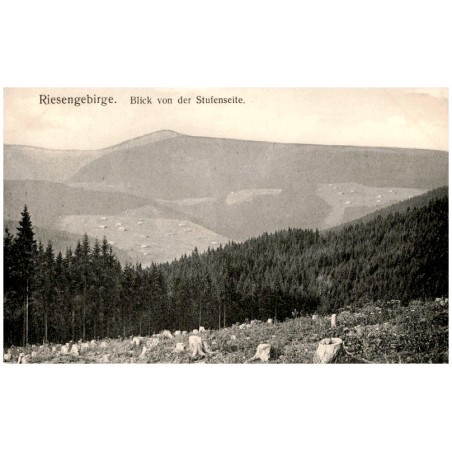 Riesengebirge. Blick von der Stufenseite.
